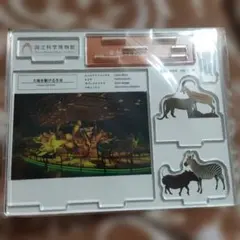 2026年最新】国立科学博物館ミュージアムグッズの人気アイテム - メルカリ