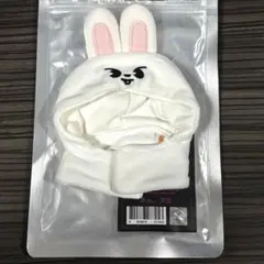 2026年最新】leebit ペンライトカバーの人気アイテム - メルカリ