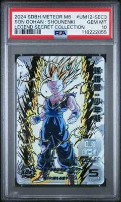 2025年最新】um12-sec3 lc psa10の人気アイテム - メルカリ