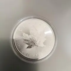 2026年最新】メイプルリーフ 1オンスの人気アイテム - メルカリ