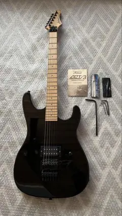 2026年最新】ARIA WARRIORの人気アイテム - メルカリ