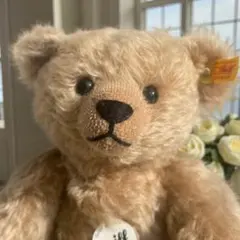 2026年最新】テディベア グロウラーの人気アイテム - メルカリ