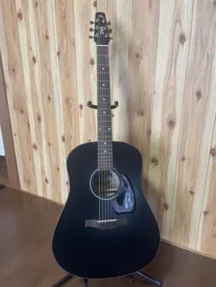 2026年最新】seagull s6の人気アイテム - メルカリ