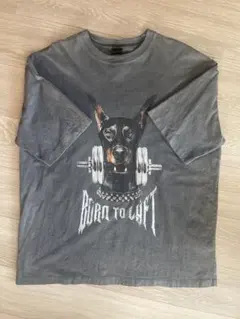 2026年最新】LYFT tシャツ ドーベルマンの人気アイテム - メルカリ