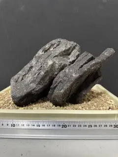 2026年最新】山水石 adaの人気アイテム - メルカリ