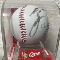 2026年最新】堂林 サインボールの人気アイテム - メルカリ