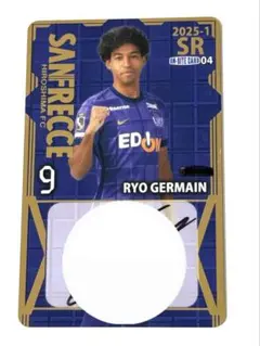 2026年最新】オンサイトカード サンフレッチェ広島の人気アイテム