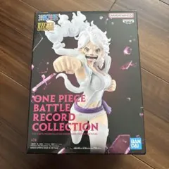 m47644002433_1.jpg?1770606750