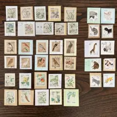 日本画家吉原芳仙の若書き『寛秀・達磨図』茶掛け紙本(大和和紙)直筆保証