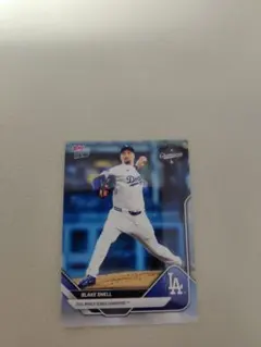 2026年最新】ブレイクスネルの人気アイテム - メルカリ