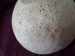 2026年最新】内田鋼一加彩の人気アイテム - メルカリ