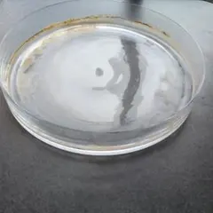 2026年最新】do aqua シリンダーの人気アイテム - メルカリ