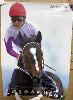 2026年最新】ポスター スペシャルウィークの人気アイテム - メルカリ