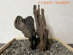 2026年最新】マシンガンウッドの人気アイテム - メルカリ