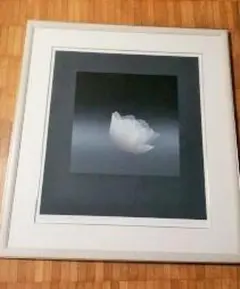 2026年最新】井上公三 シルクスクリーンの人気アイテム - メルカリ