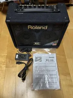 2026年最新】ROLAND KC-110の人気アイテム - メルカリ