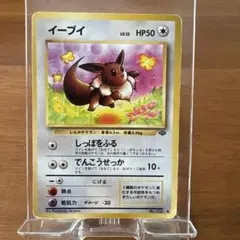 イーブイ ○ 第2弾拡張パック ポケモンジャングル - メルカリ