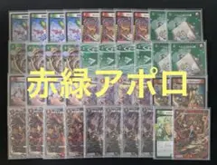 2026年最新】進化設計図の人気アイテム - メルカリ