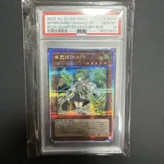 2026年最新】風霊媒師ウィン psa10の人気アイテム - メルカリ