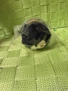 2026年最新】岡田以蔵 もちの人気アイテム - メルカリ