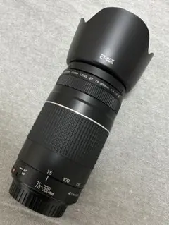 2026年最新】canon kiss x8i 望遠レンズの人気アイテム - メルカリ