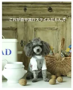 2026年最新】アトリエgg エプロンの人気アイテム - メルカリ