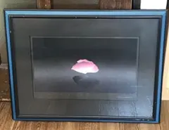 2026年最新】井上公三 シルクスクリーンの人気アイテム - メルカリ