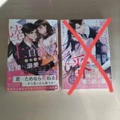 2026年最新】ルネッタ文庫の人気アイテム - メルカリ