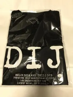 2026年最新】国内アーティスト：ブランキージェットシティ Tシャツ