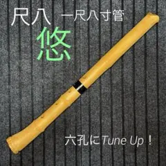 2026年最新】尺八 六寸の人気アイテム - メルカリ