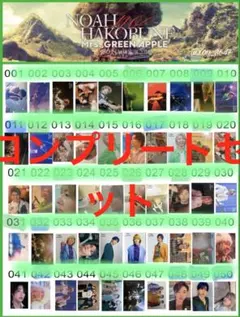 Mrs. GREEN APPLE ゼンジンフォトカード ノーマルコンプリート 【公式