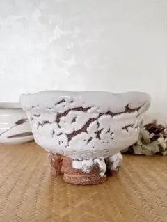 2026年最新】鬼萩の人気アイテム - メルカリ