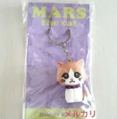 2026年最新】藤原樹 マースの人気アイテム - メルカリ