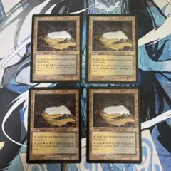 2026年最新】合計枚数/個数：4枚 マジック：ザ・ギャザリングの人気