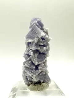 2026年最新】ポーセリン フローライトの人気アイテム - メルカリ