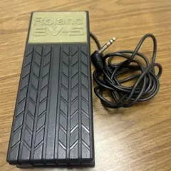 2026年最新】roland ev-5の人気アイテム - メルカリ