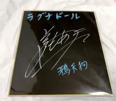 2026年最新】ラグナドール サインの人気アイテム - メルカリ