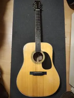 ARIA W-250 調整済み 牛骨サドル JV ソフトケース 2025年最新