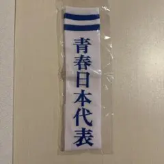 2026年最新】新しい学校のリーダーズ タオルの人気アイテム - メルカリ