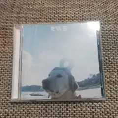 2026年最新】無人島 radwimpsの人気アイテム - メルカリ