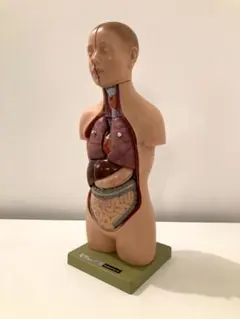 2026年最新】ソムソ 模型の人気アイテム - メルカリ