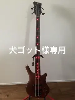 2026年最新】warwick thumb bassの人気アイテム - メルカリ