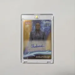 2026年最新】サインカード マーベルの人気アイテム - メルカリ