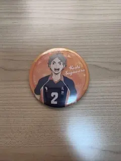 2026年最新】ハイキュー 菅原 缶バッジの人気アイテム - メルカリ