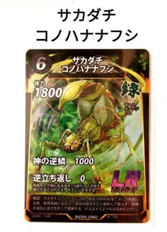 2026年最新】サカダチコノハナナフシの人気アイテム - メルカリ