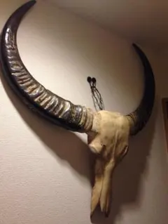 2026年最新】本物 バッファロースカルの人気アイテム - メルカリ