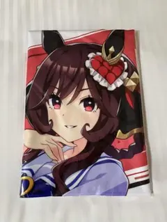 2026年最新】ジェンティルドンナ 応援タオルの人気アイテム - メルカリ