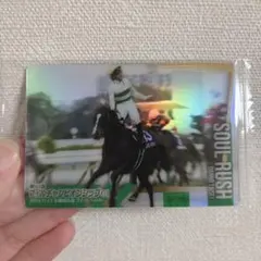 2026年最新】ソウルラッシュの人気アイテム - メルカリ