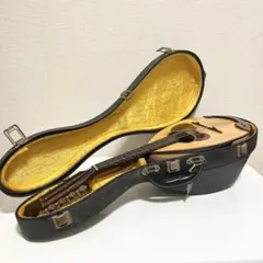 2026年最新】マンドリン M-30の人気アイテム - メルカリ