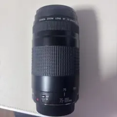 2026年最新】Canon LENS EF 75-300mm 1:4-5.6の人気アイテム - メルカリ
